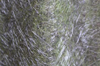 Gwalchmai Uchaf fibreglass roof work